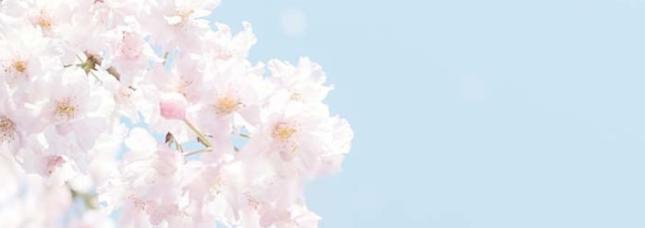 marina_mizugiwa_psychologist_banner