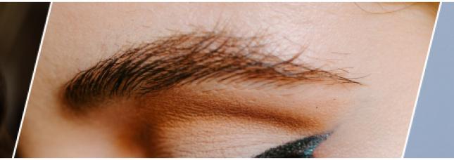 Browbar Sokol banner