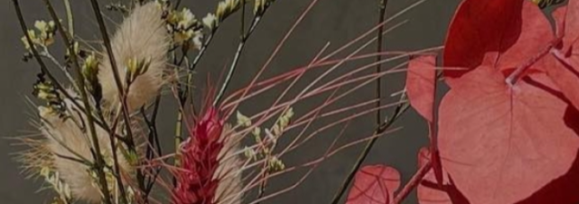 pautova_psy_banner