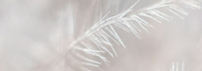 irina_drozdova_banner