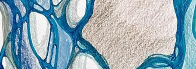 Anna.rahimoff banner